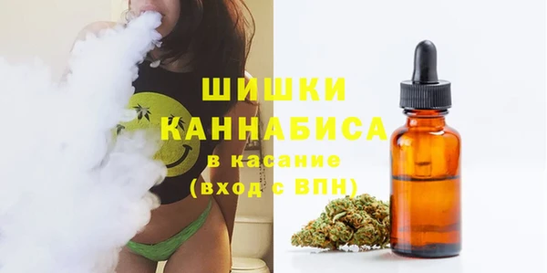 дмт Пересвет