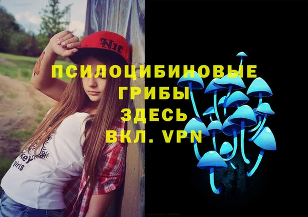 герыч Переславль-Залесский