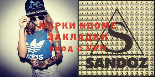 дмт Пересвет