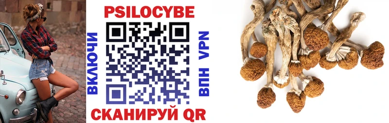 Галлюциногенные грибы Cubensis  как найти наркотики  Оренбург 